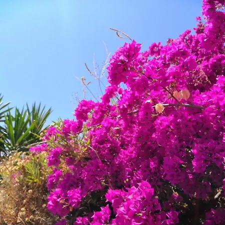 Semesterbostad Mariposa Mariposaholidays Nerja